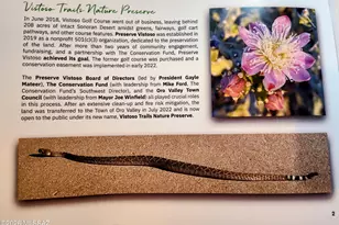 13235 N Booming Dr, Oro Valley, AZ 85755 - Photo 39