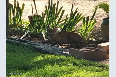12519 N Como Drive, Tucson, AZ 85755 - Photo 39