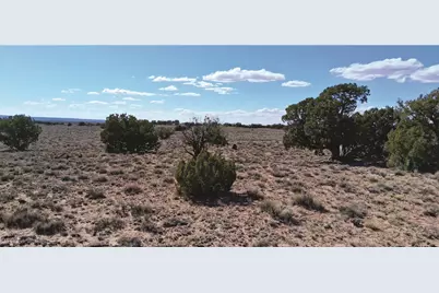 10.1 Acres Unnamed Road, Sanders, AZ 86512 - Photo 19