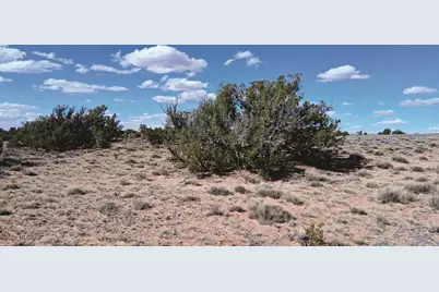 10.1 Acres Unnamed Road, Sanders, AZ 86512 - Photo 23