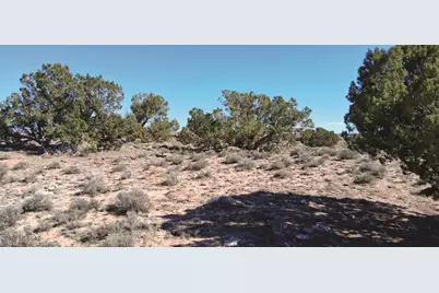 10.1 Acres Unnamed Road, Sanders, AZ 86512 - Photo 21