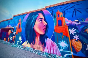 403 S El Paso Ave, Tucson, AZ 85701 - Photo 13