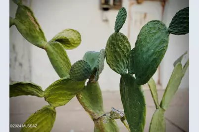 403 S El Paso Avenue, Tucson, AZ 85701 - Photo 9