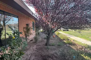 25 Coyote Ct, Sonoita, AZ 85637 - Photo 5