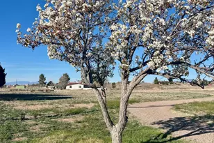25 Coyote Ct, Sonoita, AZ 85637 - Photo 33