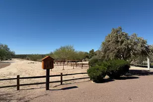 1153 W Saddlehorn Dr, Oro Valley, AZ 85704 - Photo 49