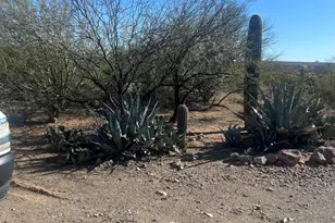 9690 W Sky Blue Dr, Tucson, AZ 85735 - Photo 3