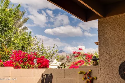706 W Rushwood Drive, Tucson, AZ 85704 - Photo 33