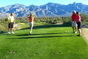 14422 N Spanish Garden Ln, Oro Valley, AZ 85755 - Photo 29