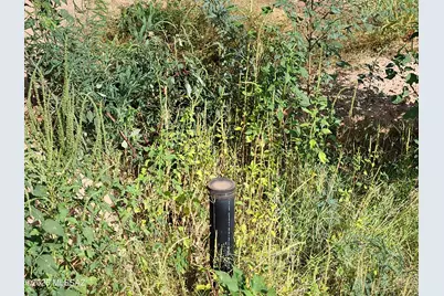 340 E Prince Road #2, Tucson, AZ 85705 - Photo 7