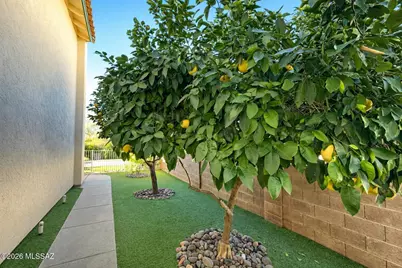780 S Shadow Tree Place, Tucson, AZ 85748 - Photo 29