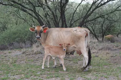 Tbd Morning Star Drive #81, Tubac, AZ 85646 - Photo 3