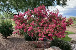 59900 E Arroyo Bello Dr, Oracle, AZ 85623 - Photo 27