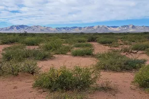 Tbd W Drifters Way, Mc Neal, AZ 85617 - Photo 1