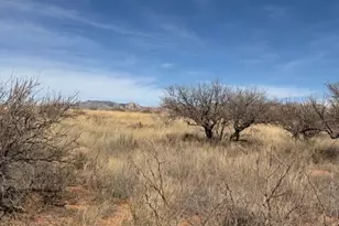 Tbd S Cochise Trail, Saint David, AZ 85630 - Photo 1