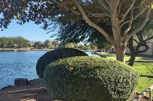 431 W Calle Del Estribo, Sahuarita, AZ 85629 - Photo 43