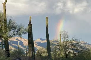 7820 E Calle De La Escarpa, Tucson, AZ 85750 - Photo 47