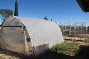 1207 E Klassen Ct, Pearce, AZ 85625 - Photo 17