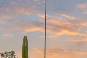 1608 W Placita Montuoso, Tucson, AZ 85737 - Photo 41