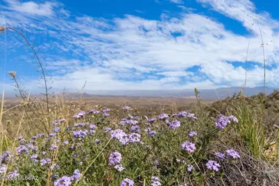 39.5 Acres Off Sam Clemens, Oracle, AZ 85623 - Photo 19