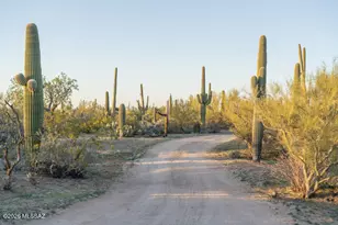 12175 W Dancing Raven Rd, Tucson, AZ 85743 - Photo 49