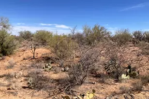 16286 W Renner Ave, Tucson, AZ 85736 - Photo 1