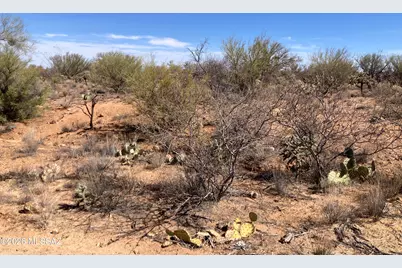 16286 W Renner Avenue #235, Tucson, AZ 85736 - Photo 1