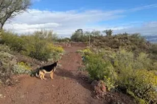 11409A E Calle Catalina, Tucson, AZ 85748 - Photo 3
