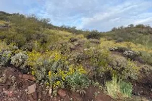 11409A E Calle Catalina, Tucson, AZ 85748 - Photo 5