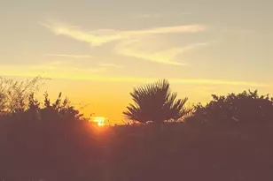 13986 E Placita Marlinda, Vail, AZ 85641 - Photo 41