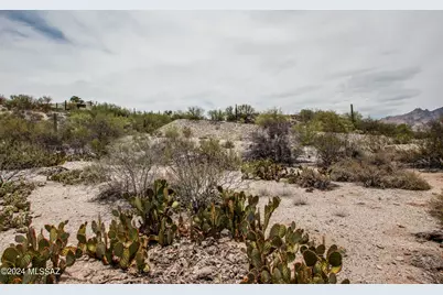 4825 N Calle Lampara N, Tucson, AZ 85718 - Photo 13