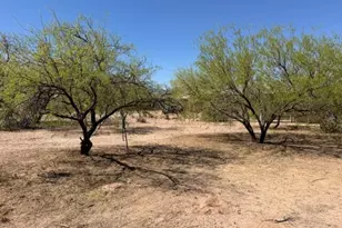 1428 N Cemetery Rd, Benson, AZ 85602 - Photo 45