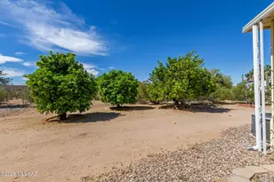 6505 N Pelto Path, Tucson, AZ 85743 - Photo 47