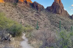 6655 N Canyon Crest Dr, Tucson, AZ 85750 - Photo 45