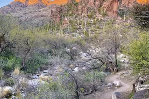 6655 N Canyon Crest Dr, Tucson, AZ 85750 - Photo 47