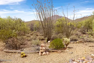 7736 W Copper Nugget Drive, Tucson, AZ 85735 - Photo 45