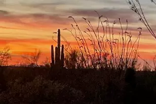 7736 W Copper Nugget Dr, Tucson, AZ 85735 - Photo 5