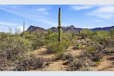6142 N Placita Sayal #5, Tucson, AZ 85743 - Photo 21