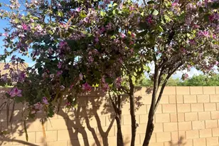 3486 S Sun Splash Dr, Tucson, AZ 85713 - Photo 17