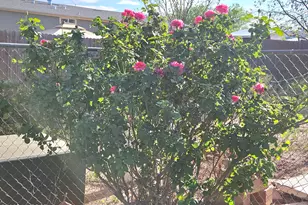 3145 W Citrus Rd, Benson, AZ 85602 - Photo 13