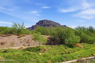 4801 W Calle Don Miguel, Tucson, AZ 85757 - Photo 31