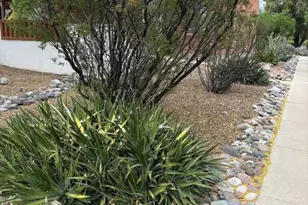 506 W Camino Penasco, Green Valley, AZ 85614 - Photo 13