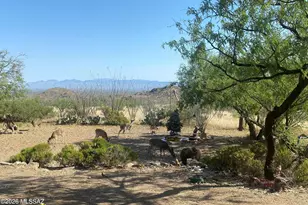 17963 S Via Del Minero, Vail, AZ 85641 - Photo 5