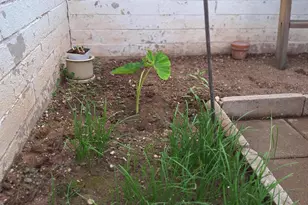 1725 S Jones Blvd, Tucson, AZ 85713 - Photo 35