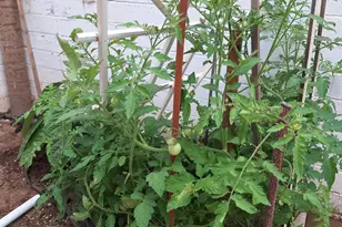 1725 S Jones Blvd, Tucson, AZ 85713 - Photo 35