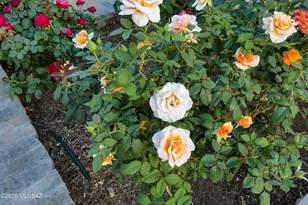 530 W Camino Fairhaven, Oro Valley, AZ 85704 - Photo 41