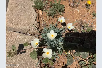 Vacant Lot E Justin Street, Pearce, AZ 85625 - Photo 7