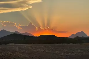 9811 N Sooner Ln, Marana, AZ 85653 - Photo 39