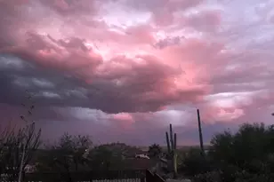 4641 N Rockcliff Rd, Tucson, AZ 85750 - Photo 5