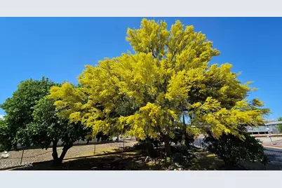 91 W Olive Drive, Green Valley, AZ 85614 - Photo 1